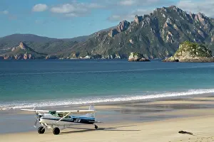 Islands Prints: Transport plane on the beach runway of Codfish Island with the Ruggedy Range of Stewart Island in the background