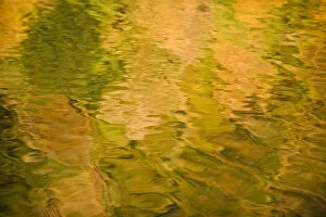 Images Dated 5th October 2008: Tree colours reflected on the Galovac water surface, Upper Lakes, Plitvice Lakes NP