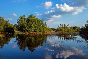 Saxony Prints: Trees and clouds reflecting in man-made ponds