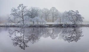 Green Woodlands Collection: Trees coated in hoar frost reflected in the River Derwent. Chatsworth