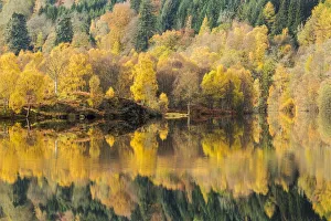Images Dated 2014 October: 29 Oct 2014 Collection