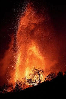 Trees silhouetted against erupting Cumbre Vieja volcano at night, La Palma
