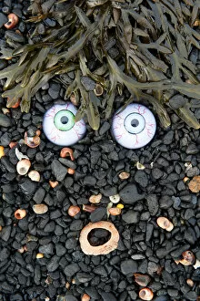 Seaweed Gallery: Troll face amongst seaweed, Islay, Scotland