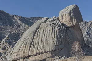 2020 October Highlights Collection: Turtle rock, Terelj National Park, (Larch National Park). Mongolia. October 2008