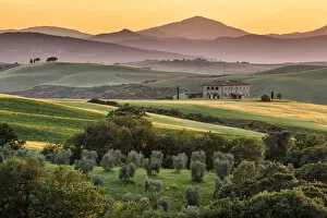 Landscape Collection: Tuscan farmhouse and olive grove, Val d Orcia, Tuscany, Italy, May 2018