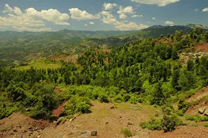 Images Dated 13th June 2009: Typical landscape in Shebeniku-Jabllanica National Park, Albania, June 2009
