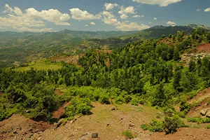 Typical landscape in Shebeniku-Jabllanica National Park, Albania, June 2009