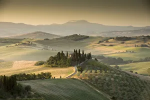 Tuscanny Prints: Typical landscape in Tuscany, with the farmhouse Belvedere near to San