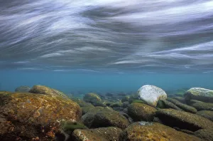 Underwater landscape in Aare river, Canton of Berne, Switzerland, January
