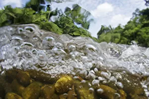 Images Dated 25th March 2012: Underwater view of Sungai Melinau River, Gunung Mulu National Park, Sarawak, Borneo, Malaysia