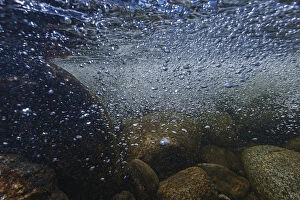 Images Dated 17th May 2015: Underwater view of the Temnik River, Lake Baikal, Baikalsky Reserve, Siberia, Russia. May