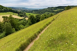 Footpaths Gallery: Unimproved grassland in flower at Swifts Hill, Site of Special Scientific Interest (SSSI)