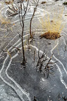 Heathland Prints: Unusual ice patterns caused by extremely low temperatures and wind on small heathland pond