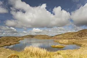 Images Dated 12th May 2012: Upland peatbog pool. Pumlumon Fawr, Cambrian Mountains, Wales, January 2012
