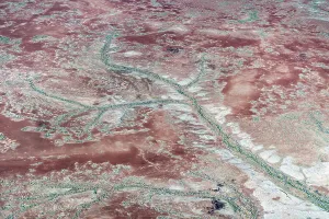 Regenerating Prints: Vegetation flourishes in the river channels and surrounds as a result of uncommonly high local rainfall in a desert