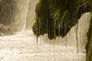 Images Dated 3rd October 2008: Veliki Prstavci waterfalls, Upper lakes, Plitvice Lakes NP, Croatia, October 2008