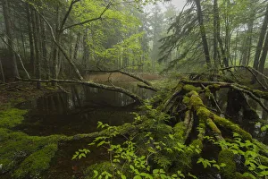 Images Dated 2015 May: 28 May 2015 Collection