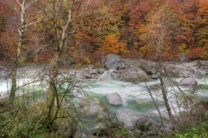 Verzasca River and autumn trees, Canton Tessin, Switzerland