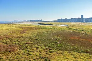 Mudflats Prints: View of beach, dunes, mudflats and salt marsh