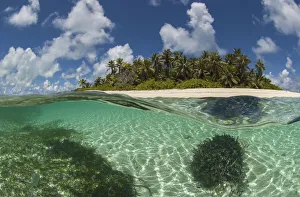 View of Byoutier. a very small island in the Seychelles with a pristine beach. Byoutier
