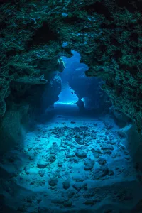 Serranidae Prints: View through a cavern in a coral reef, with a Small grouper (Cephalopholis cruentata
