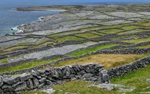 Dry Stone Wall Prints: View across coastal countryside with mosaic of drystone walls