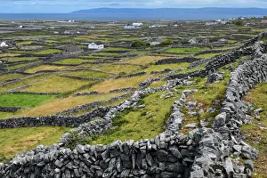Dry Stone Wall Prints: View over countryside with mosaic of drystone walls
