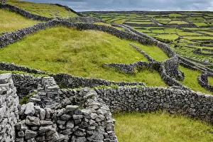 Dry Stone Wall Prints: View over countryside with mosaic of drystone walls