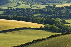 Images Dated 4th July 2011: View of downland and arable farmland from Wilmington Hill, Wilmington, South Downs National Park