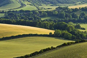 Images Dated 4th July 2011: View of downland and arable farmland from Wilmington Hill, Wilmington, South Downs National Park