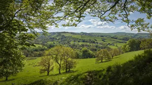 Exploring Britain Gallery: View from edge of woodlands near Pott Shrigley, Peak District National Park, Cheshire, UK