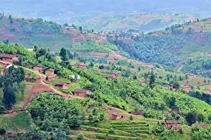 Plantation Prints: View over farmland and traditional houses