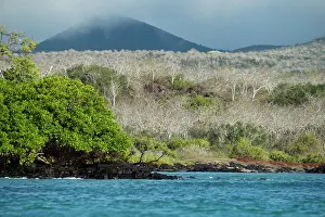 Islands Prints: View of Floreana Island seen from the northern shore, Galapagos Islands. July, 2022