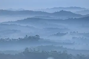 Environmental Issues Prints: View over forest clearance / cultivated land