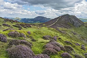 View from Long Mynd with Bodbury Hill in the foreground and Caer Caradoc Hill