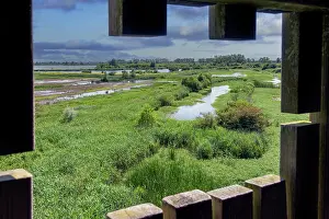 Conservation Prints: View from looking out from bird hide over De Blankaart nature reserve