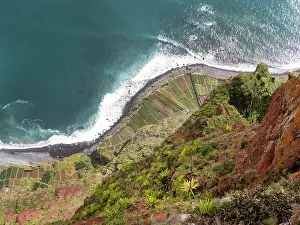 Madeira Prints: View looking down the steep sea cliffs on to cultivated strips of land along the coast