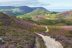 Path Gallery: View looking west from the summit of Conwy Mountain, with Alltwen Mountain above the farm