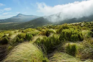 Campbell Island Prints: View of low cloud over mountains