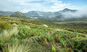 Campbell Island Prints: View of low cloud over mountains