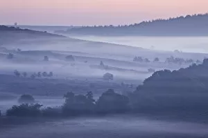 Images Dated 22nd August 2011: View over New Forest lowland heathland from Rockford Common at dawn