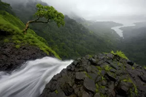 View from the top of the Ozarde waterfalls near Koyna Lake during the monsoon. Western Ghats