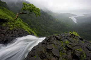 Images Dated 20th August 2010: View from the top of the Ozarde waterfalls near Koyna Lake during the monsoon. Western Ghats