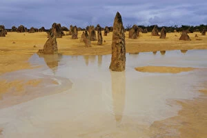 View of Pinnacles desert after heavy rainfall, Nambung National Park, Western Australia