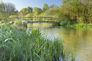 View of the River Itchen at Ovington, Hampshire, England, UK, May 2012