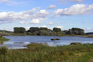 UK Wildlife August Prints: View of Rutland Water Nature Reserve, RAMSAR site, Special Protection Area and Site