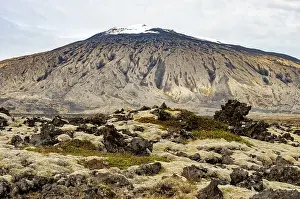 Heath Prints: View of Saefellsjokull, a 700, 000 year old stratovolcano and an old lava field with moss heath