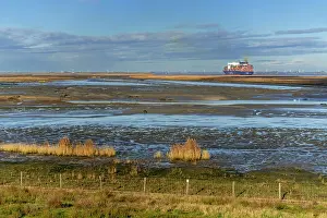 Nature Reserve Prints: View over salt marsh of the Western Scheldt estuary at nature reserve Prosperpolder
