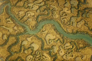 View of saltmarsh habitat from the air, showing tidal creek system, Abbotts Hall Farm