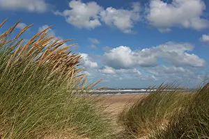 Travel Prints: View from sand dunes looking out to sea